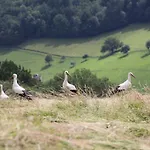 La Colline Du Baa - D'exception