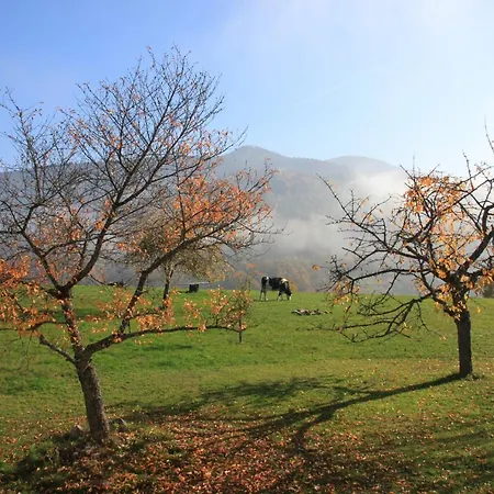 La Colline Du Baa - D'exception * Lapoutroie