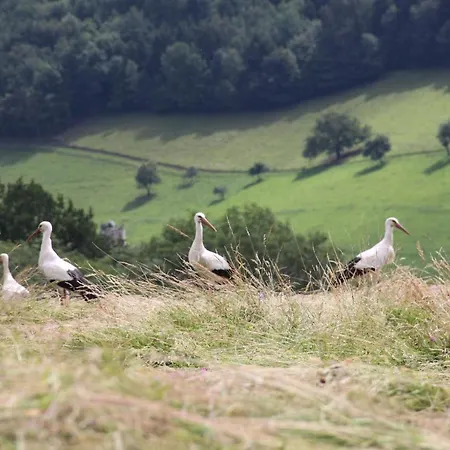 La Colline Du Baa - D'exception