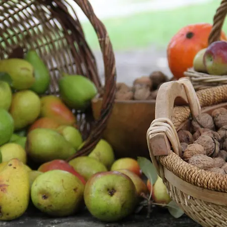 La Colline Du Baa - D'exception