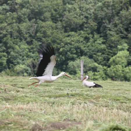 La Colline Du Baa - D'exception Frühstückspension 4*