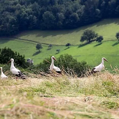 La Colline Du Baa - D'exception