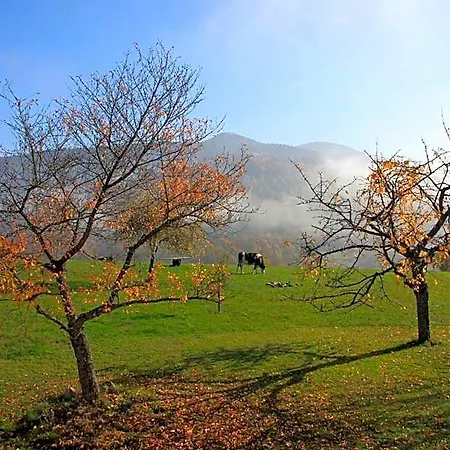 La Colline Du Baa - D'exception 4* Lapoutroie